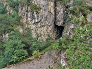 26 Grotta  la 'S-cepa dol geru', dove a maggio fiorisce la Primula albenensis 